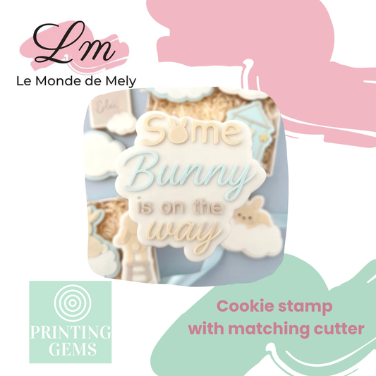 Baby Rabbit some bunny is on the way raised stamp by Le Monde De Mely