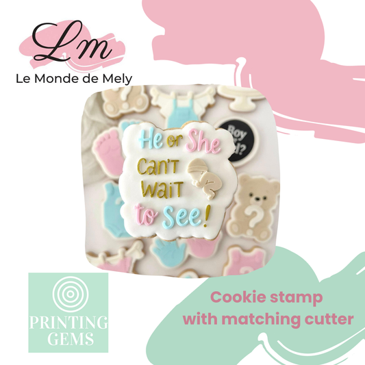 Gender reveal baby "He or she can't wait to see" raised stamp by Le Monde De Mely