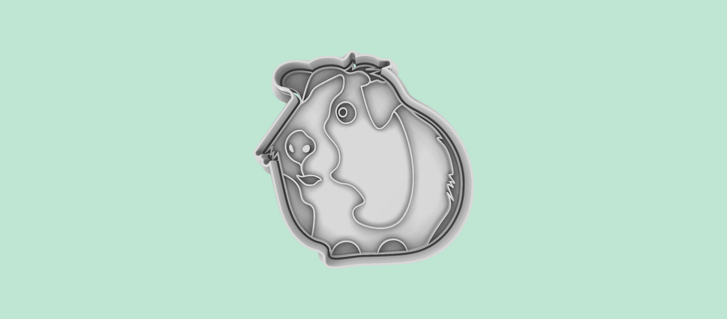 Guinea Pig