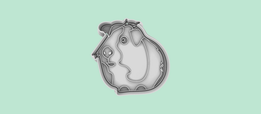 Guinea Pig